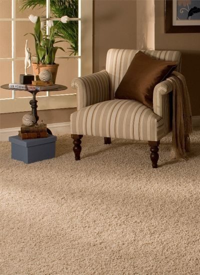 Homeowner's Guide: Carpet, Vinyl, Ceramic Tiles or Hardwood Flooring